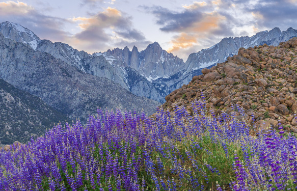 mt whitney